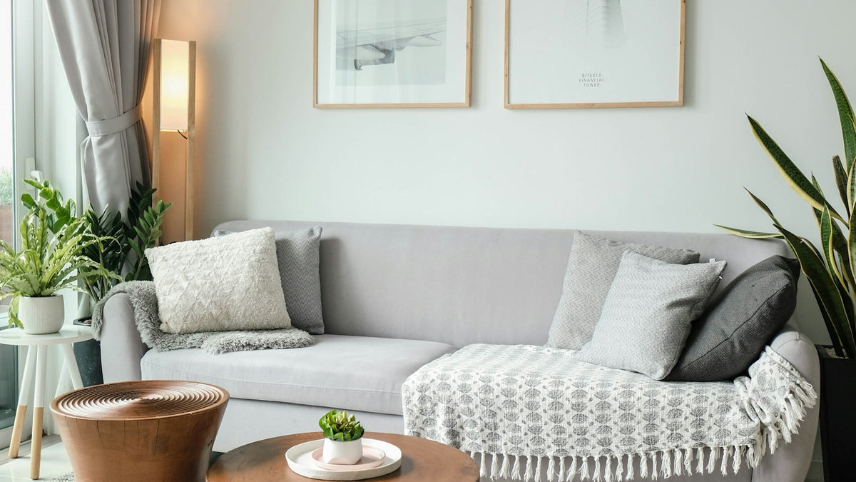 A light-filled living room